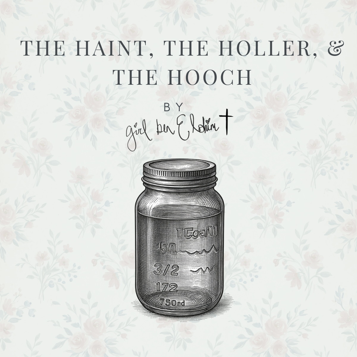 The Haint, The Holler, & The Hooch Cover