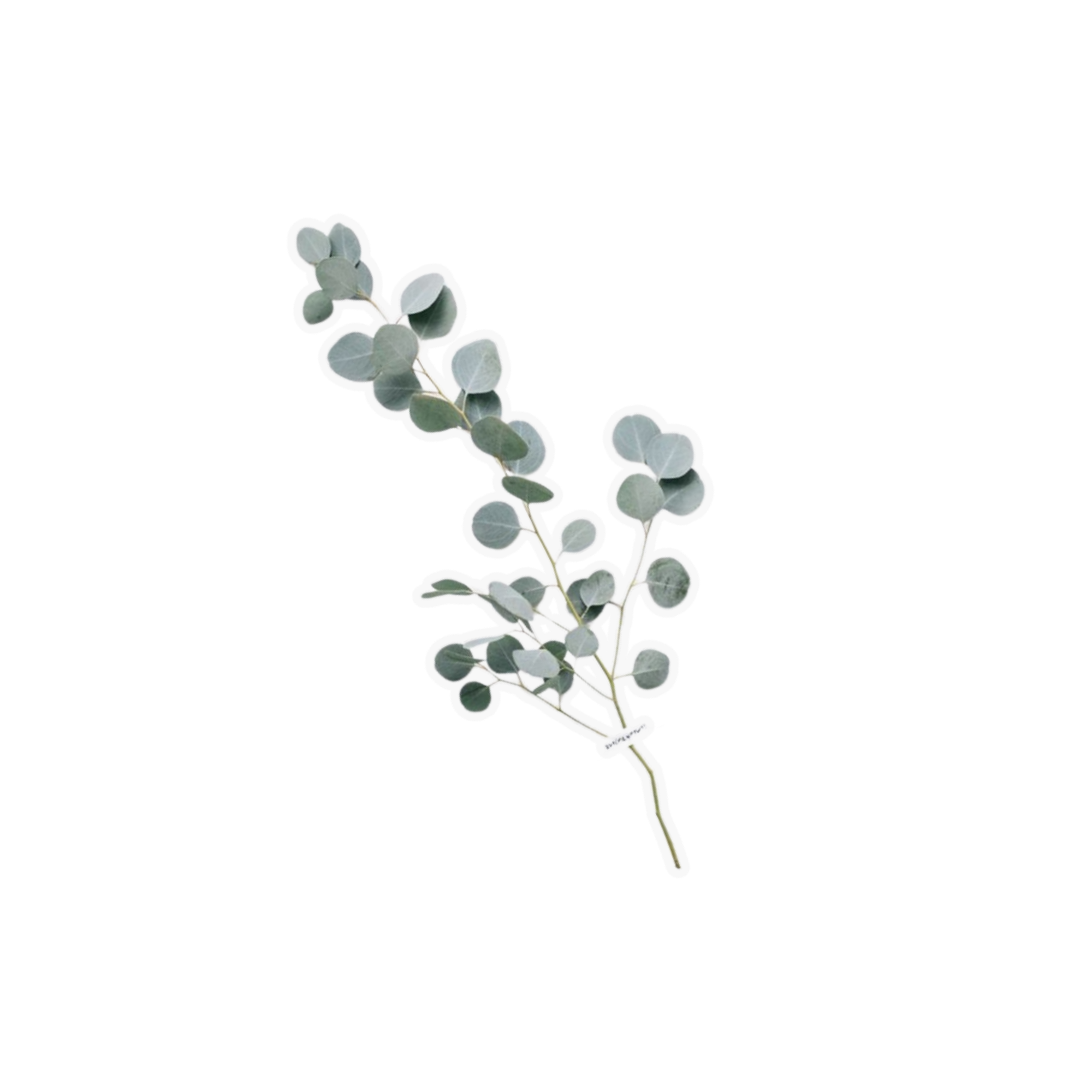 Dried Sprig Asset