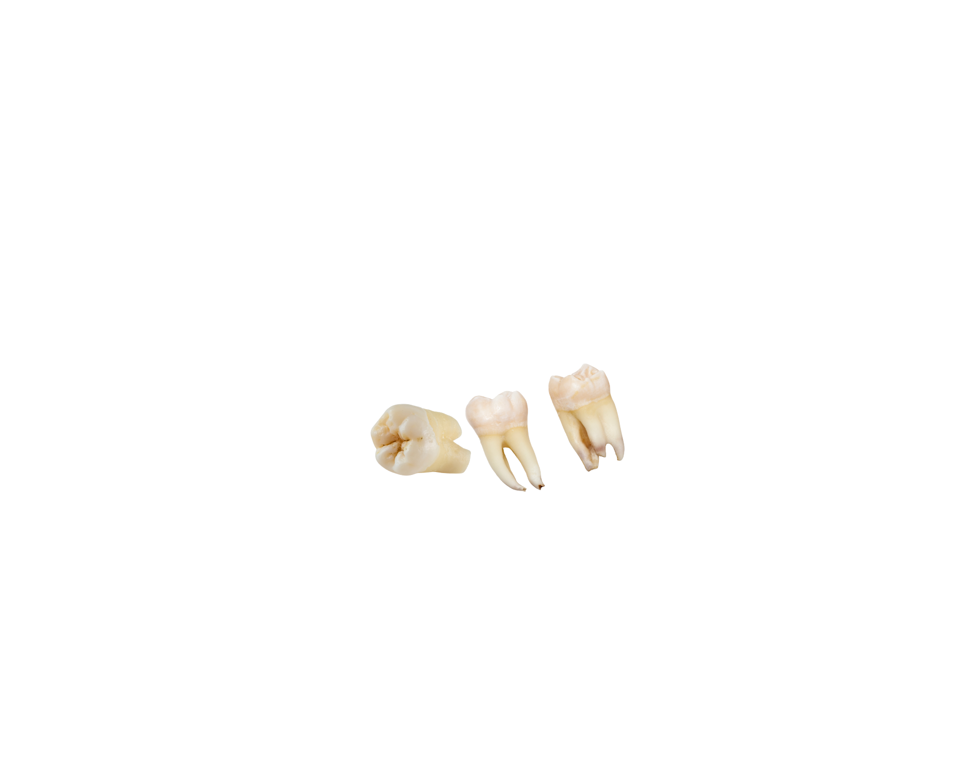 Tooth Pixel Asset